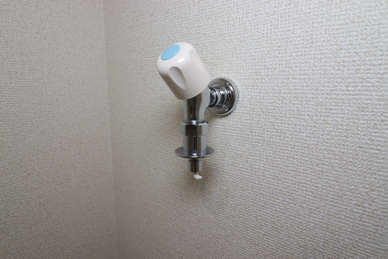 バス