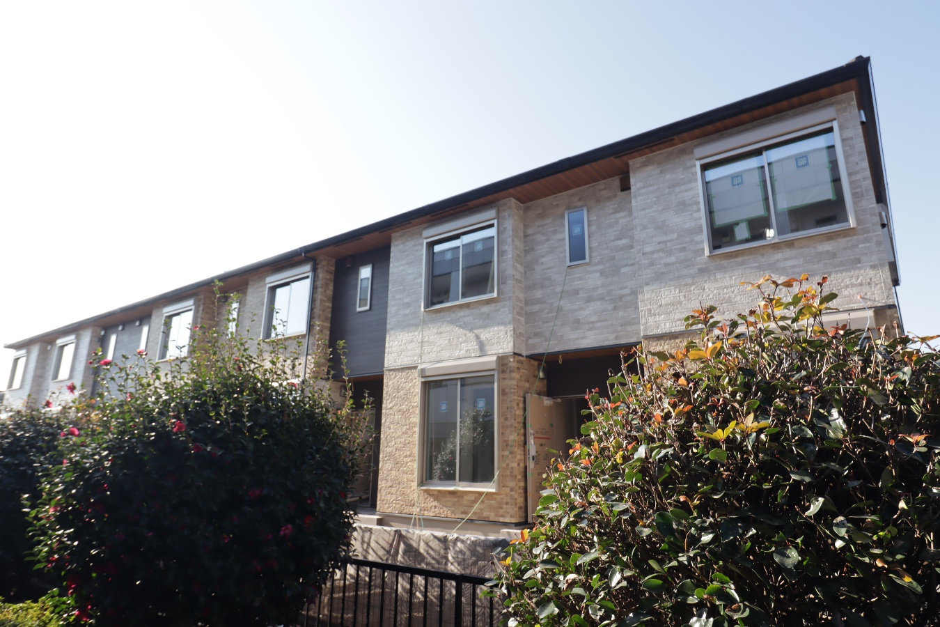 シュタイン・フルス