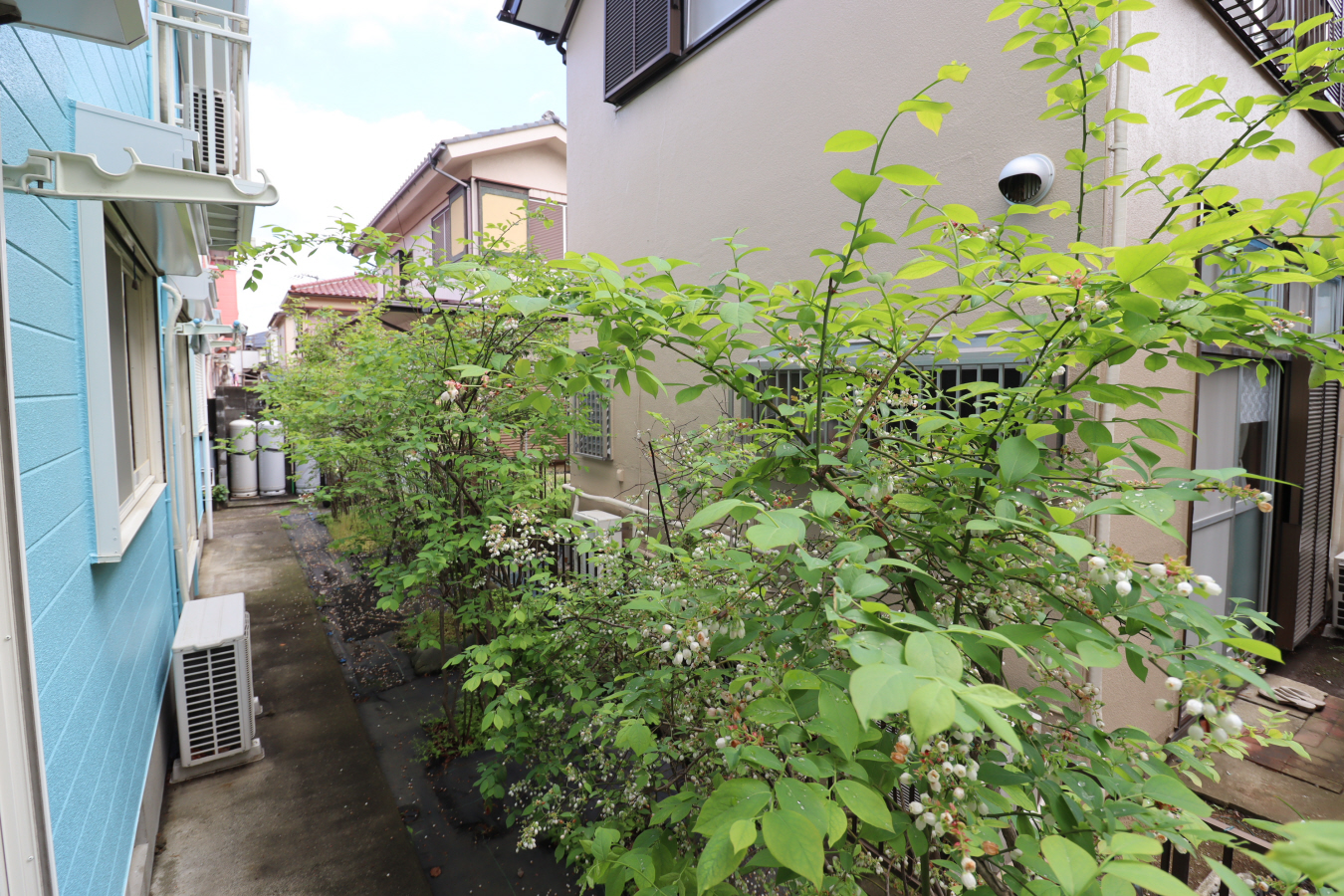 バルコニー・ベランダ