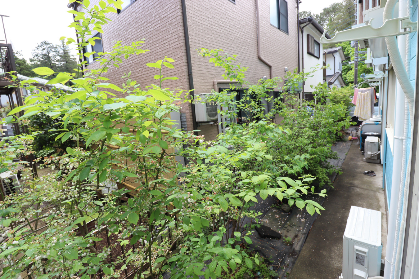 バルコニー・ベランダ