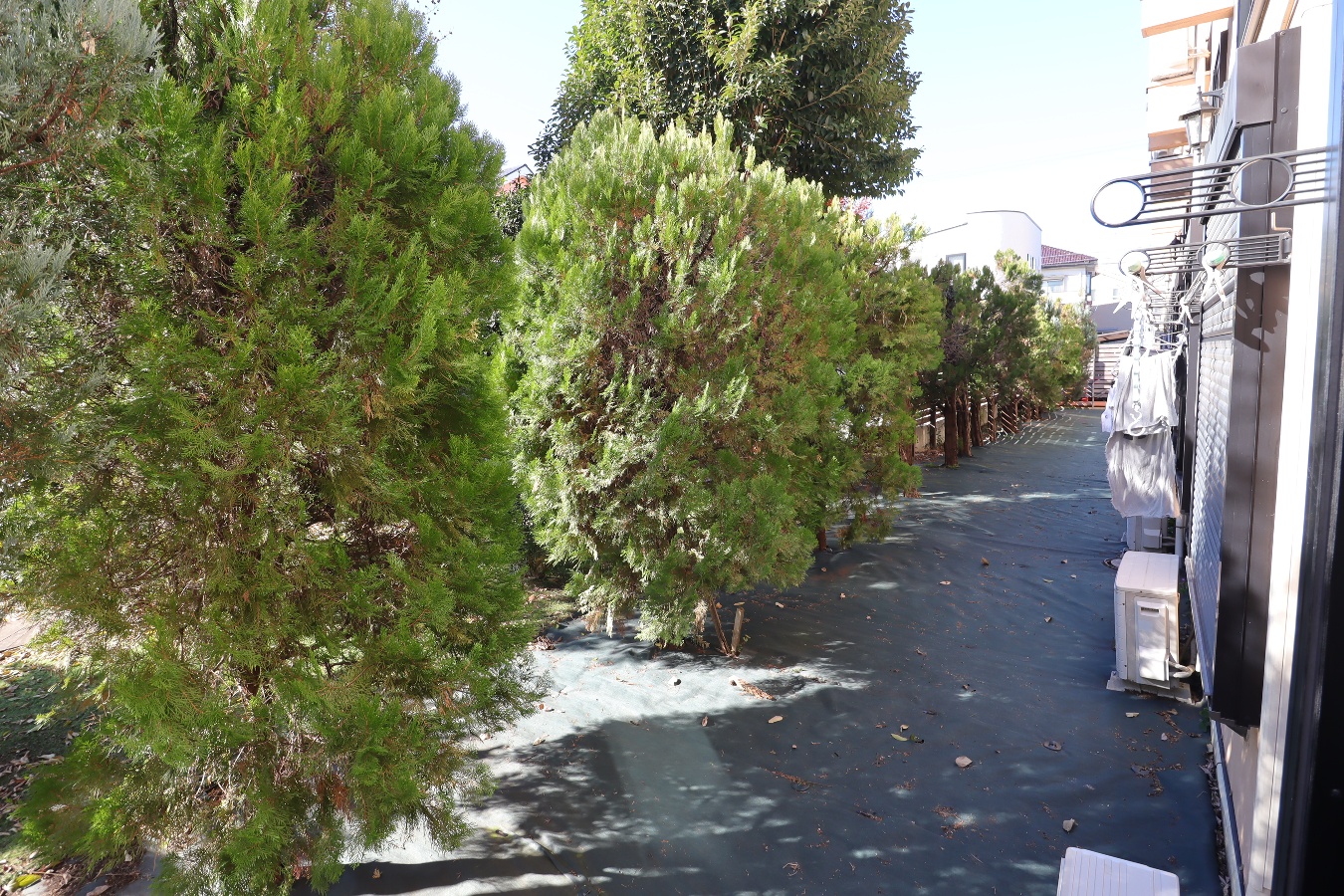 バルコニー・ベランダ